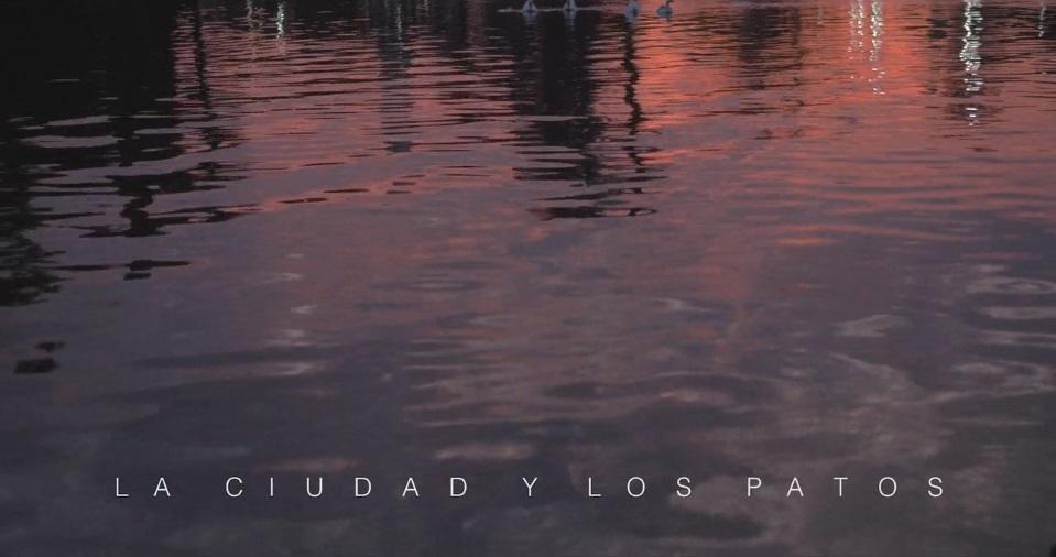 La ciudad y los patos