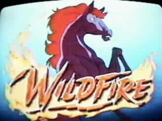 Wildfire (TV Series)