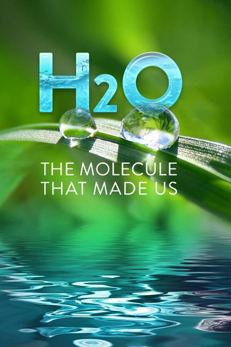H2O: La importancia del agua
