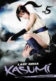 Lady Ninja Kasumi, Vol. 5: Counter Attack