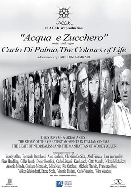 Water and Sugar: Carlo Di Palma, the Colors of Life