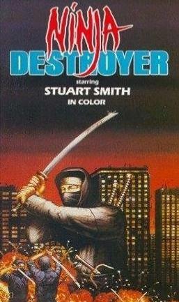 Ninja Destroyer