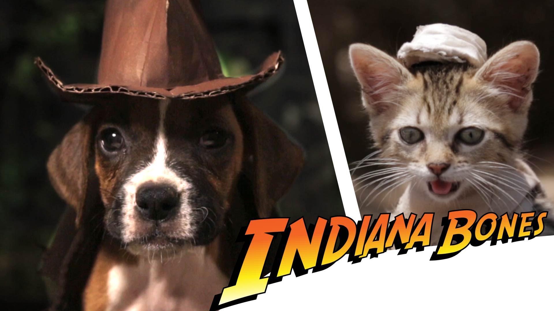 Indiana Bones and the Raiders of the Lost Bark (S)