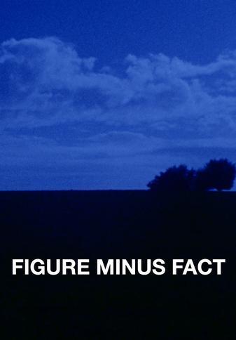 Figure Minus Fact (C)