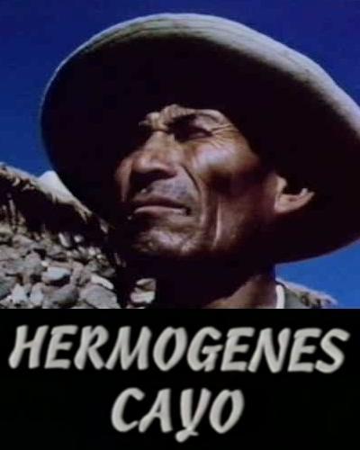 Hermógenes Cayo