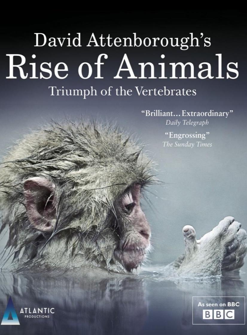 Rise of Animals: Triumph of the Vertebrates (TV Miniseries)