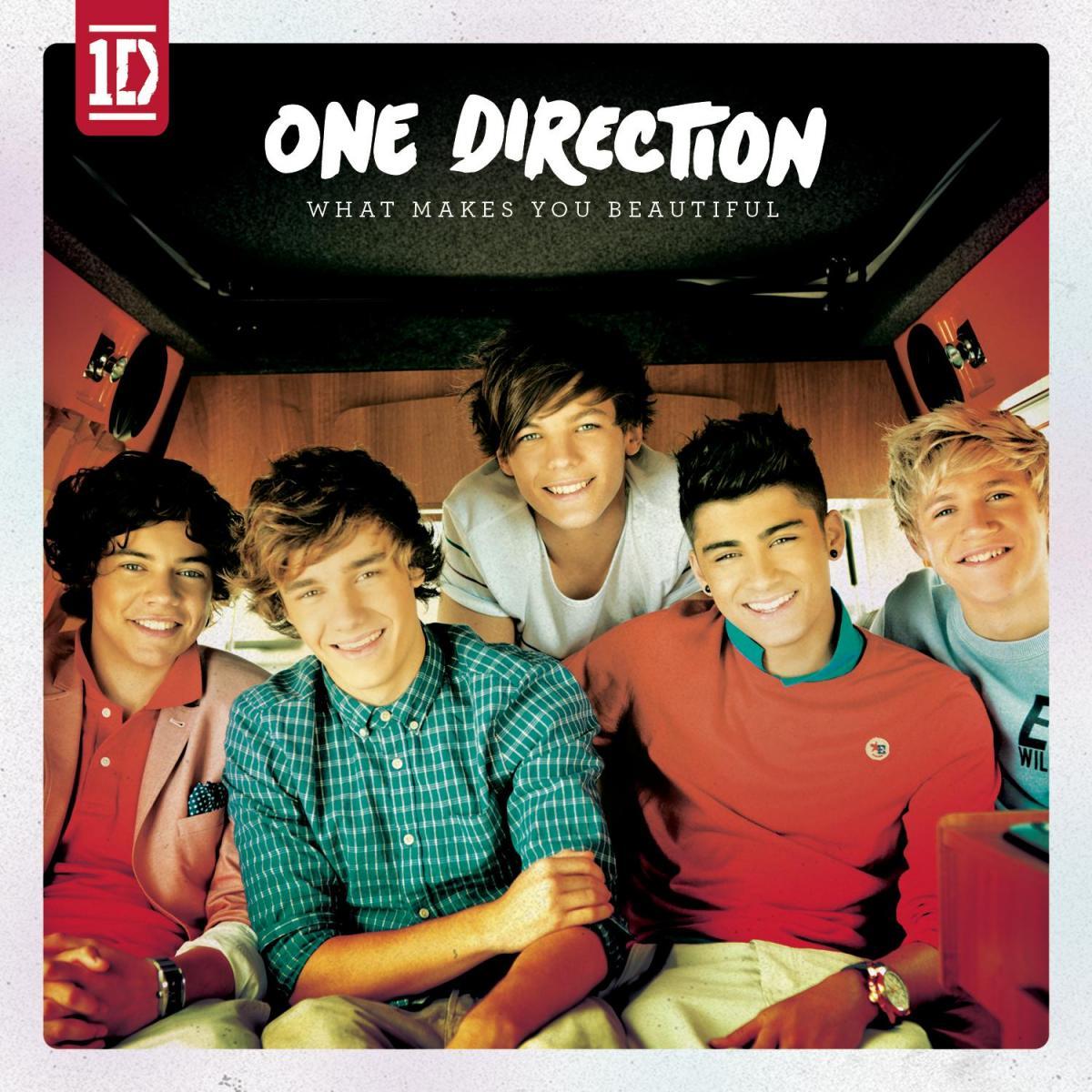 One Direction: What Makes You Beautiful (Vídeo musical)