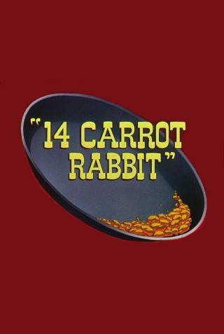 14 Carrot Rabbit (C)