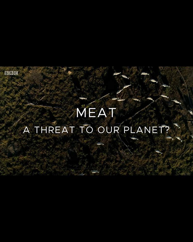 Meat: A Threat to Our Planet