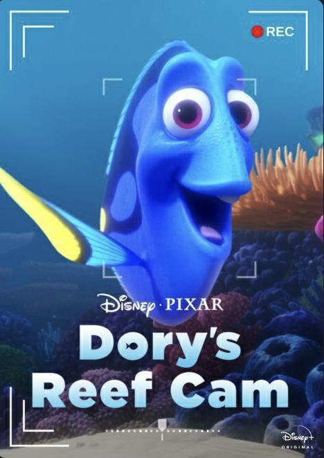 La cámara del arrecife de Dory