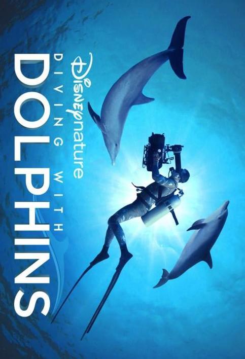 Diving with Dolphins