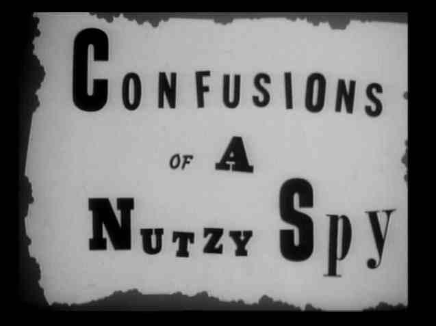 Confusions of a Nutzy Spy (C)