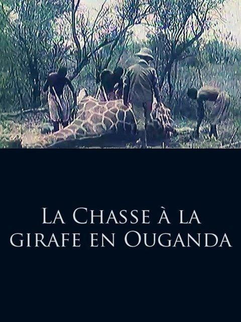 La Chasse à la girafe en Ouganda (C)