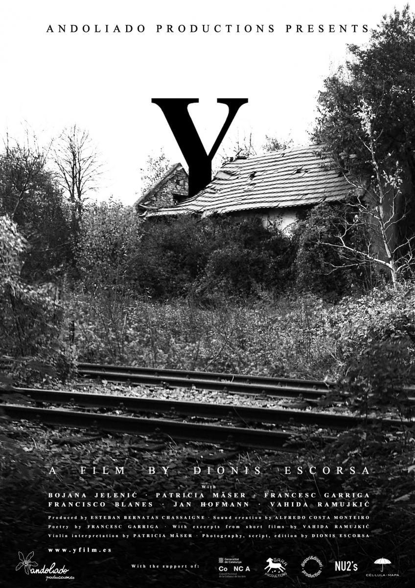 Y (The Film)