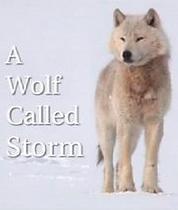 A Wolf Called Storm (The Natural World)