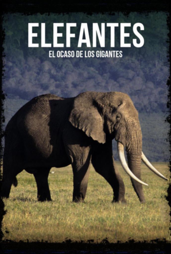 Elephants, the twilight of the giants