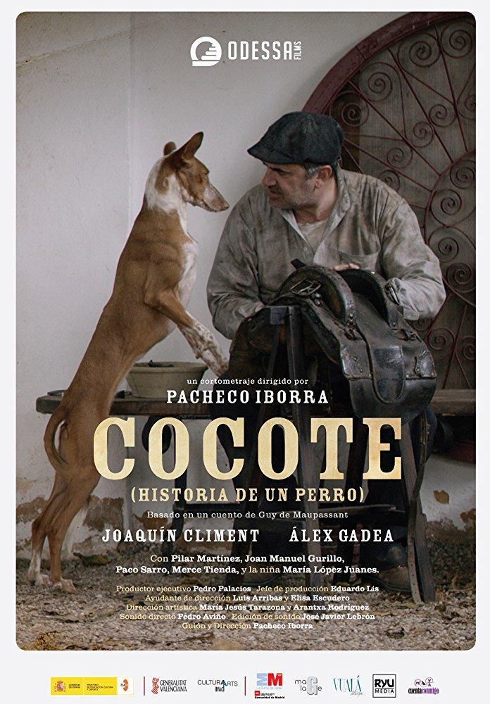 Cocote, historia de un perro