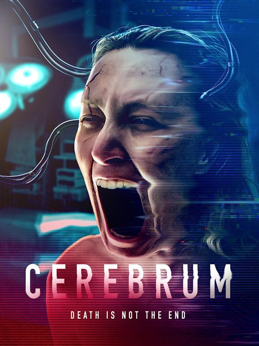 Cerebrum