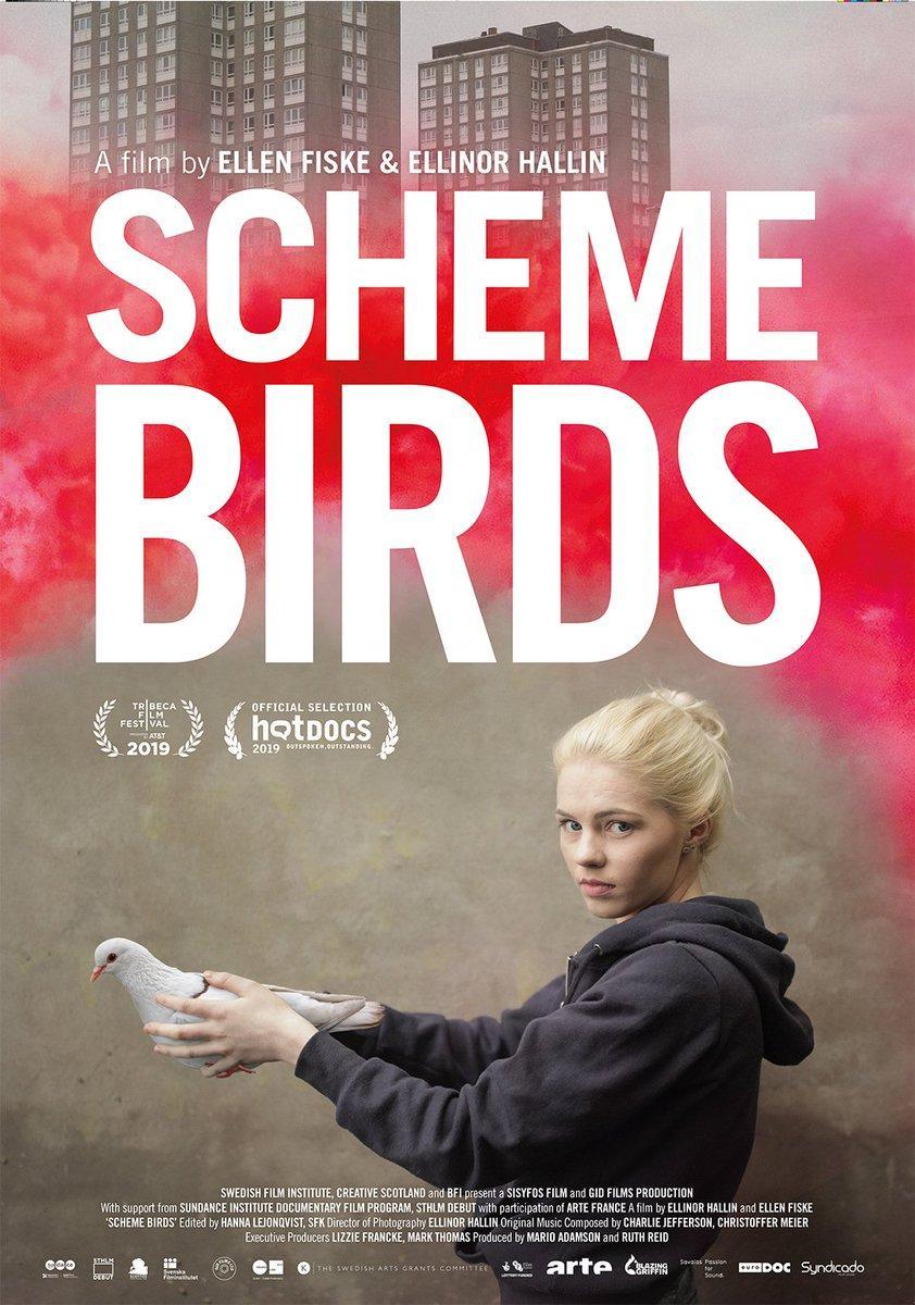 Scheme Birds