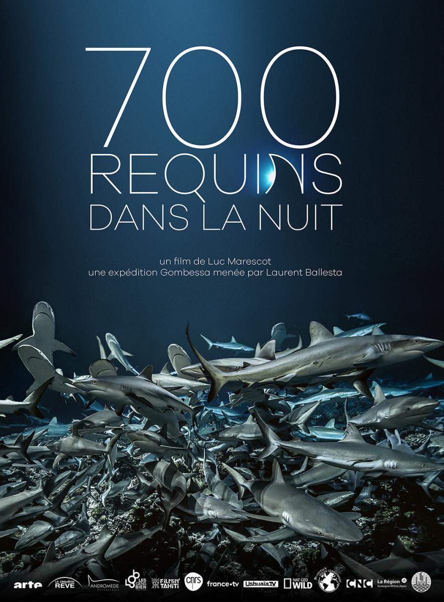 700 requins dans la nuit (TV)