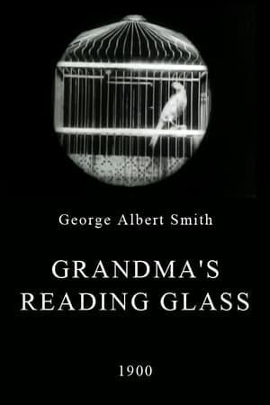 Grandma's Reading Glass (S)