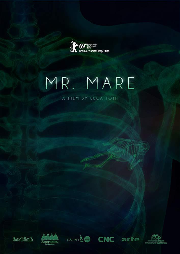 Mr. Mare (S)