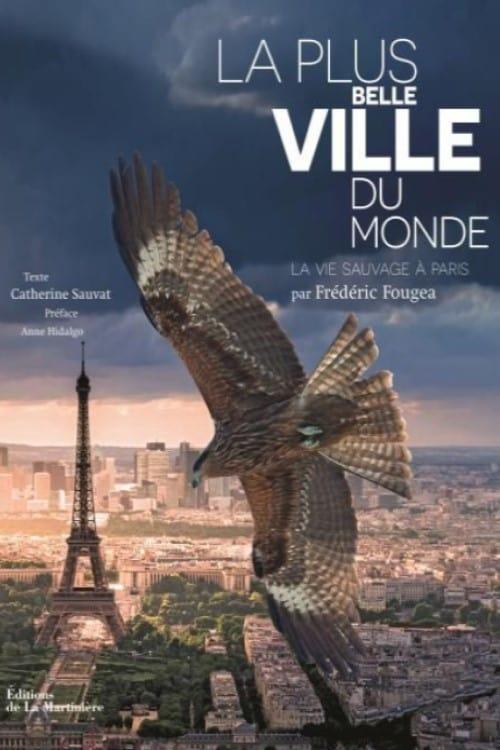 La plus belle ville du monde (TV)