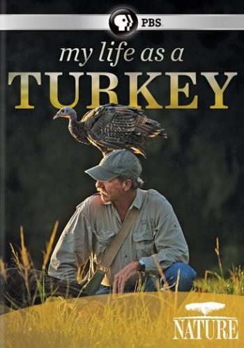 My Life as a Turkey (TV)