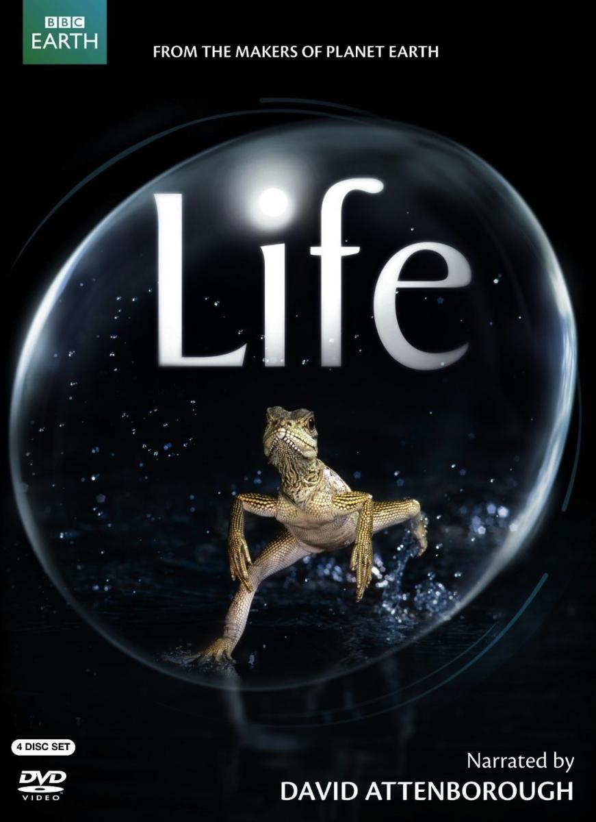 Life (Miniserie de TV)