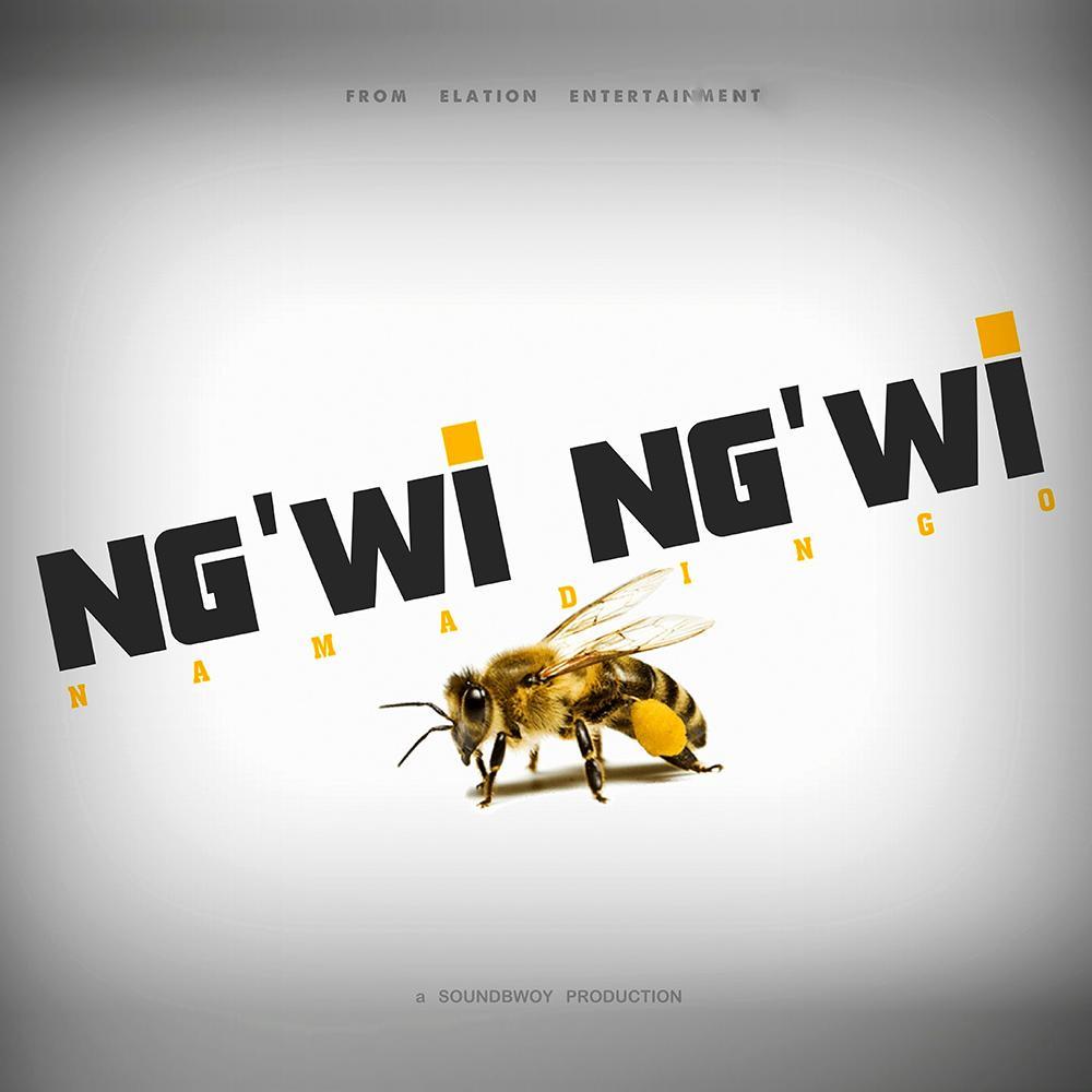 Namadingo: Ng'wi Ng'wi (Vídeo musical)