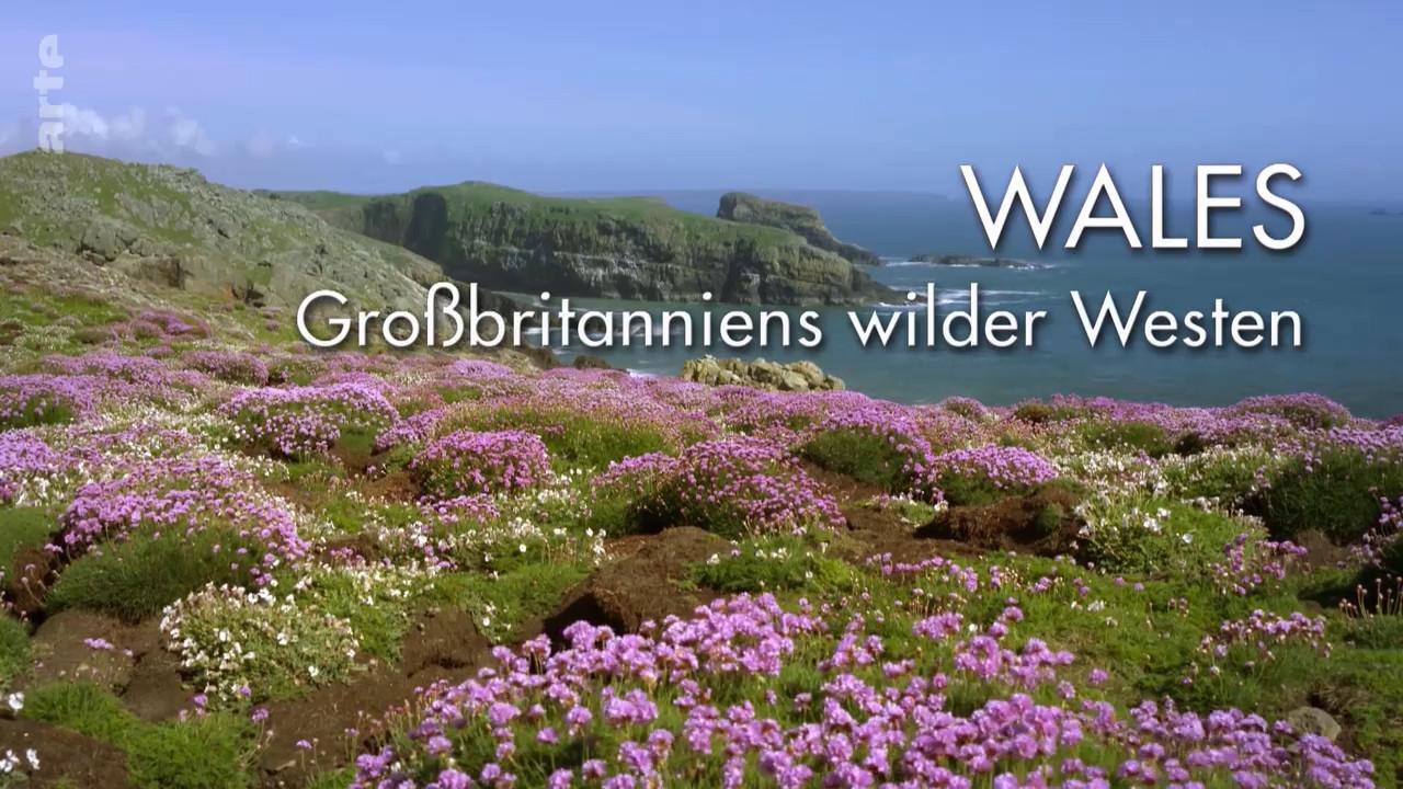 Wales: Großbritanniens wilder Westen (TV)