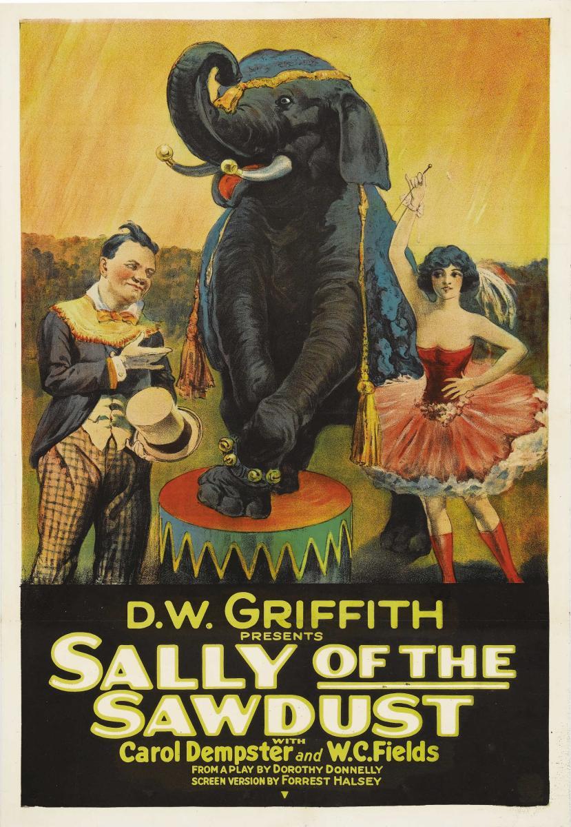Sally of the Sawdust