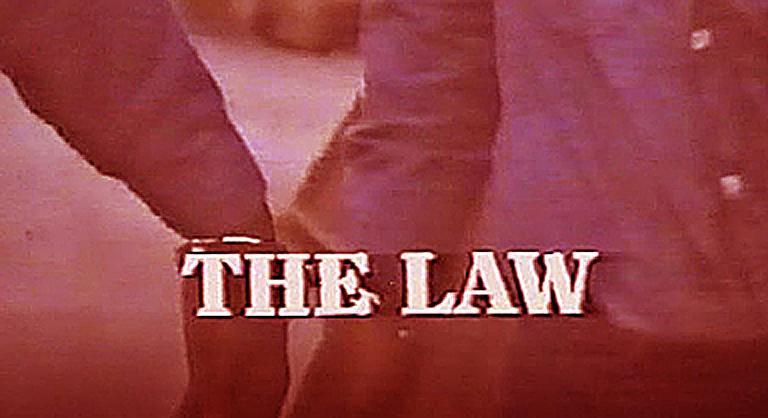 The Law (TV) (TV Miniseries)