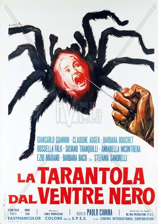 La tarántula del vientre negro