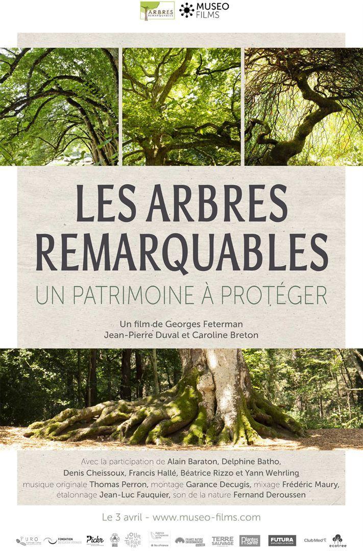 Les arbres remarquables - Un patrimoine à protéger