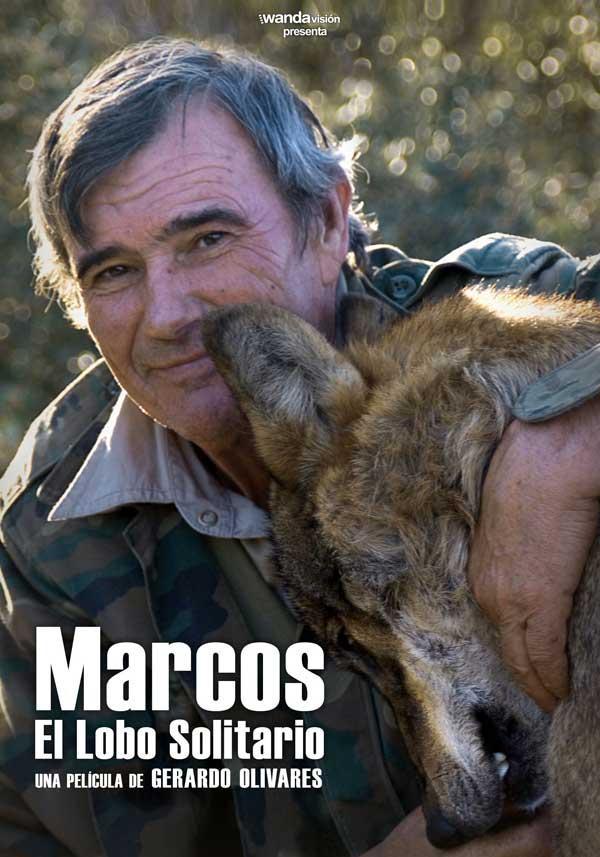 Marcos, el lobo solitario