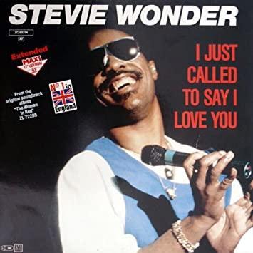 Stevie Wonder: I Just Called to Say I Love You (Vídeo musical)