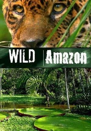 Wild Amazon (Miniserie de TV)