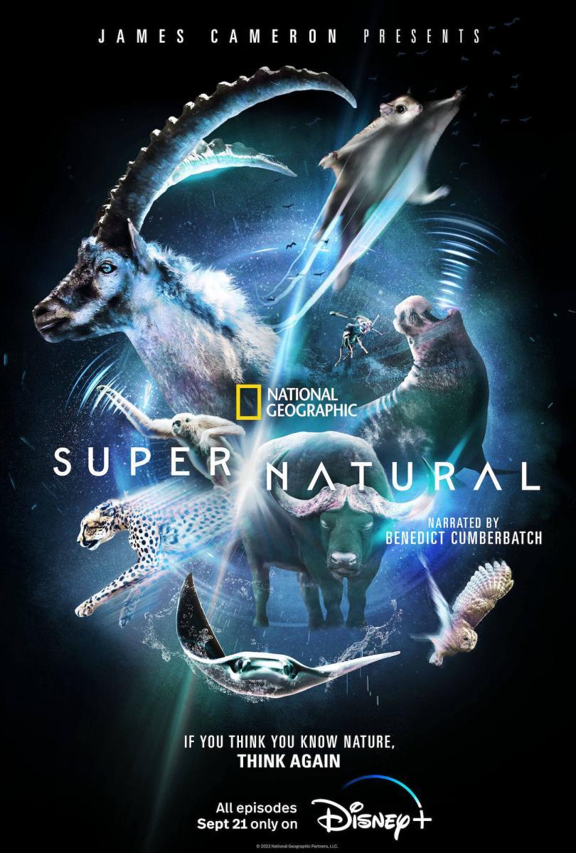 Super/Natural (Miniserie de TV)