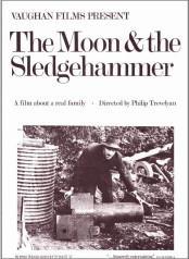 The Moon and the Sledgehammer