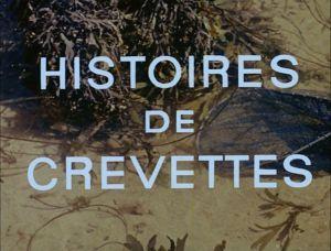 Histoires de crevettes (S)