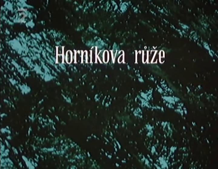 Horníkova ruze (S)