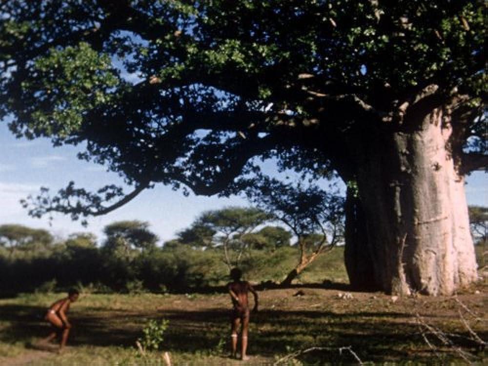 Baobab Play (S)