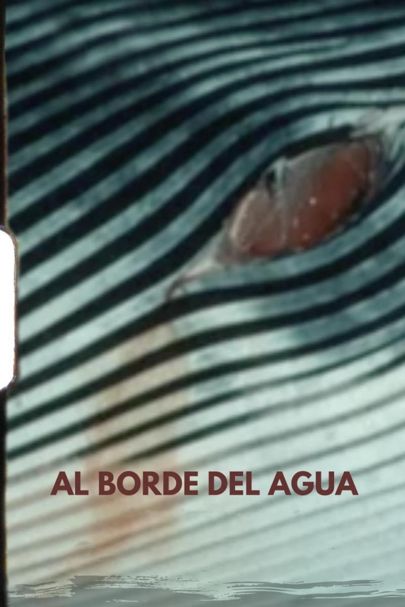 Al borde del agua (S)