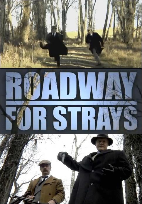 Roadway for Strays (C)