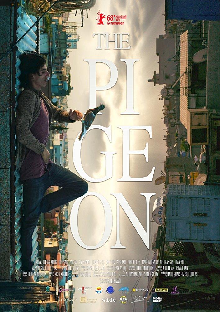 The Pigeon