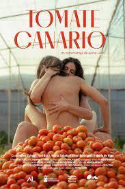 Tomate canario (S)