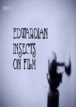 Edwardian Insects on Film (TV)