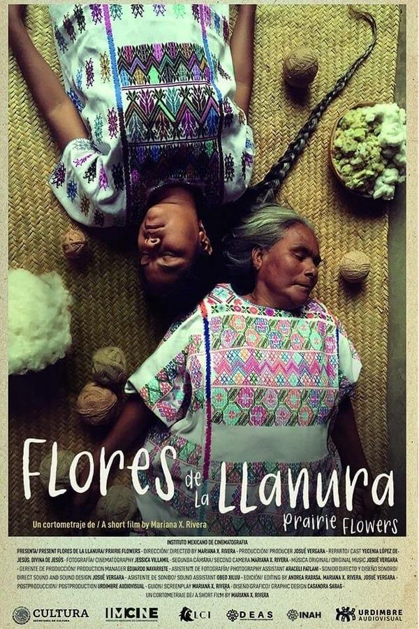 Flores de la llanura (C)