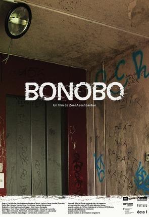 Bonobo (C)